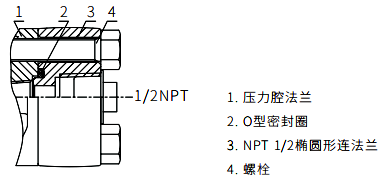 1/2NPT不锈钢椭圆形法兰 1/2NPT不锈钢椭圆形法兰