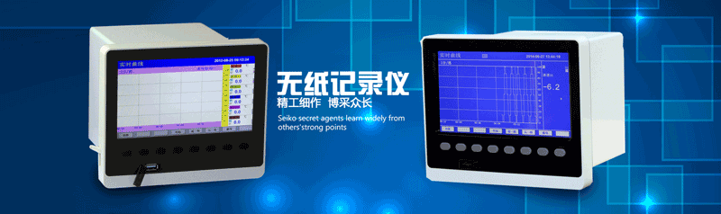 fkswng无纸记录仪 fkswng无纸记录仪