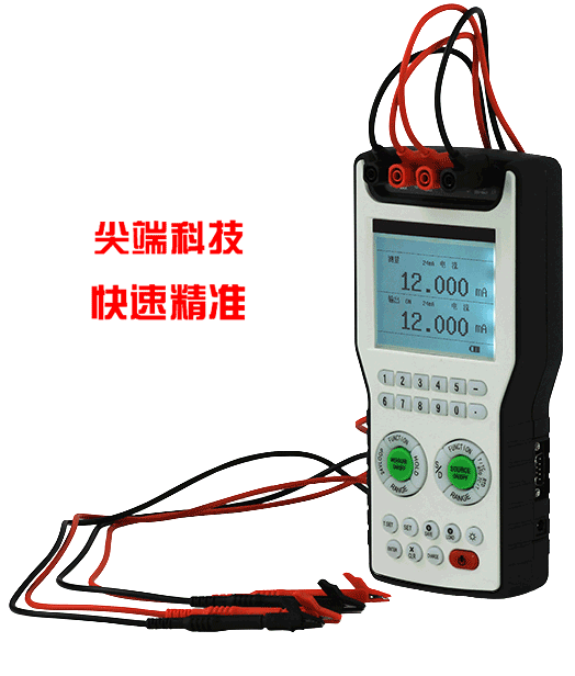 fkswng过程校验仪YR-100