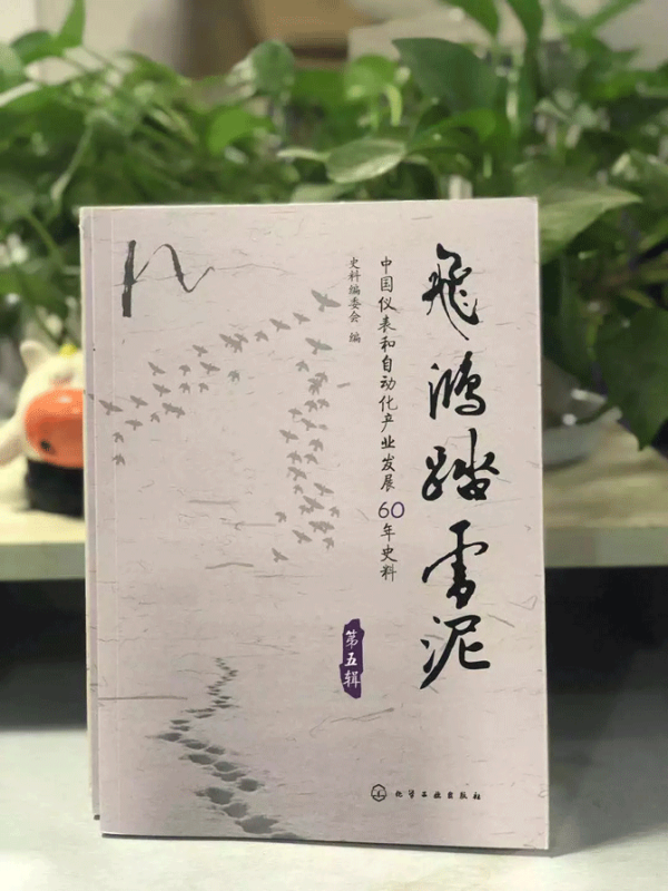 《飞鸿踏雪泥》图书 《飞鸿踏雪泥》图书